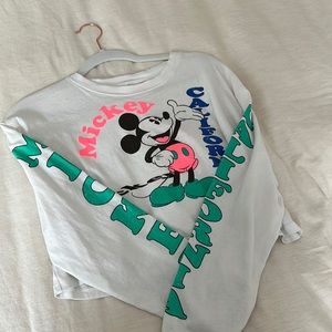 Zara Disney long sleeve cropped tee